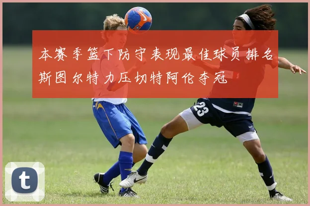 本赛季篮下防守表现最佳球员排名斯图尔特力压切特阿伦夺冠